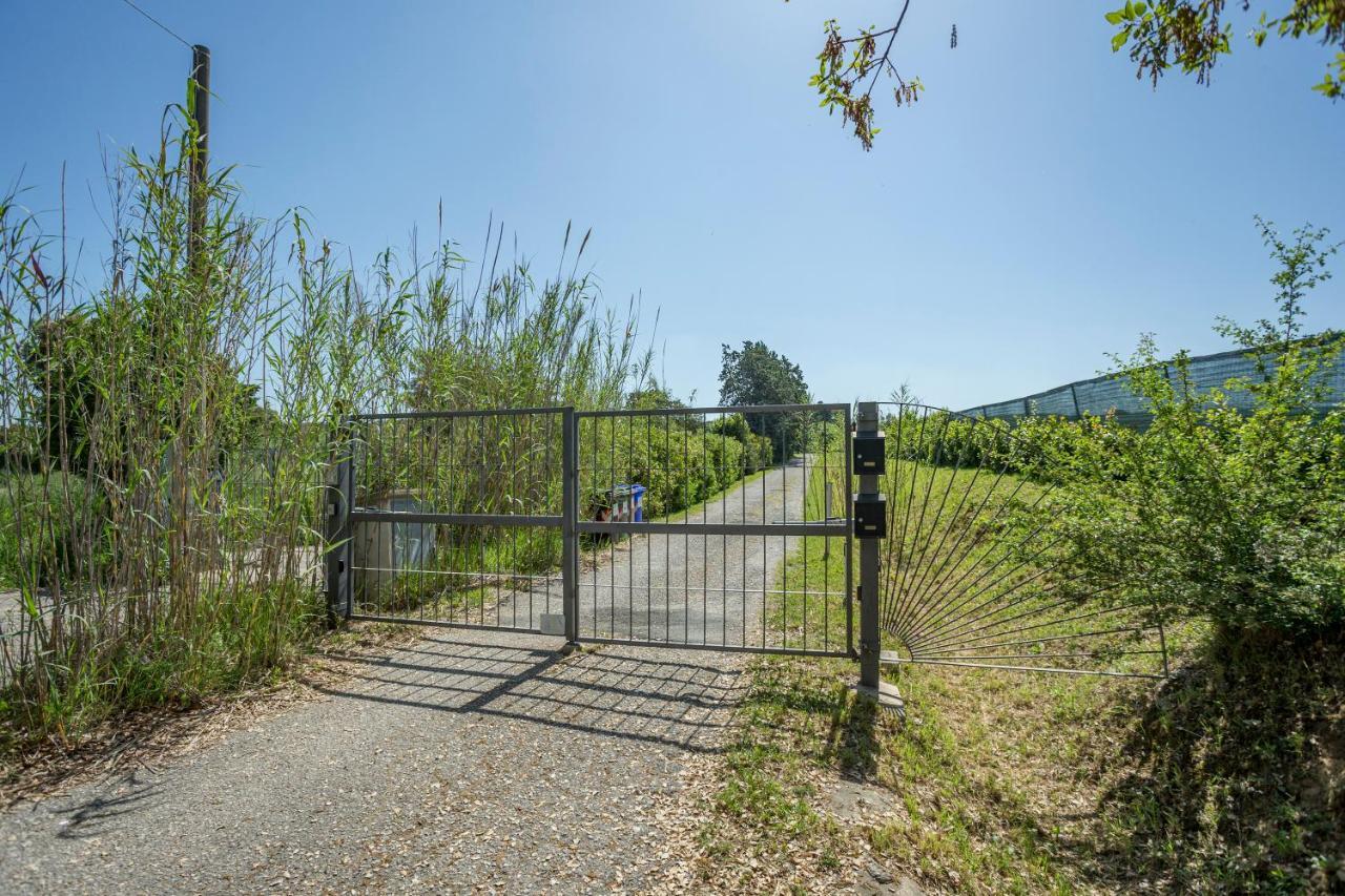 Podere Belvedere ลีวอร์โน ภายนอก รูปภาพ