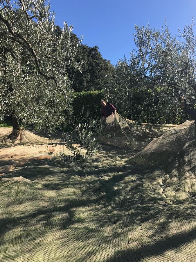 Podere Belvedere ลีวอร์โน ภายนอก รูปภาพ